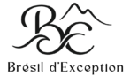 Brésil d'Exception